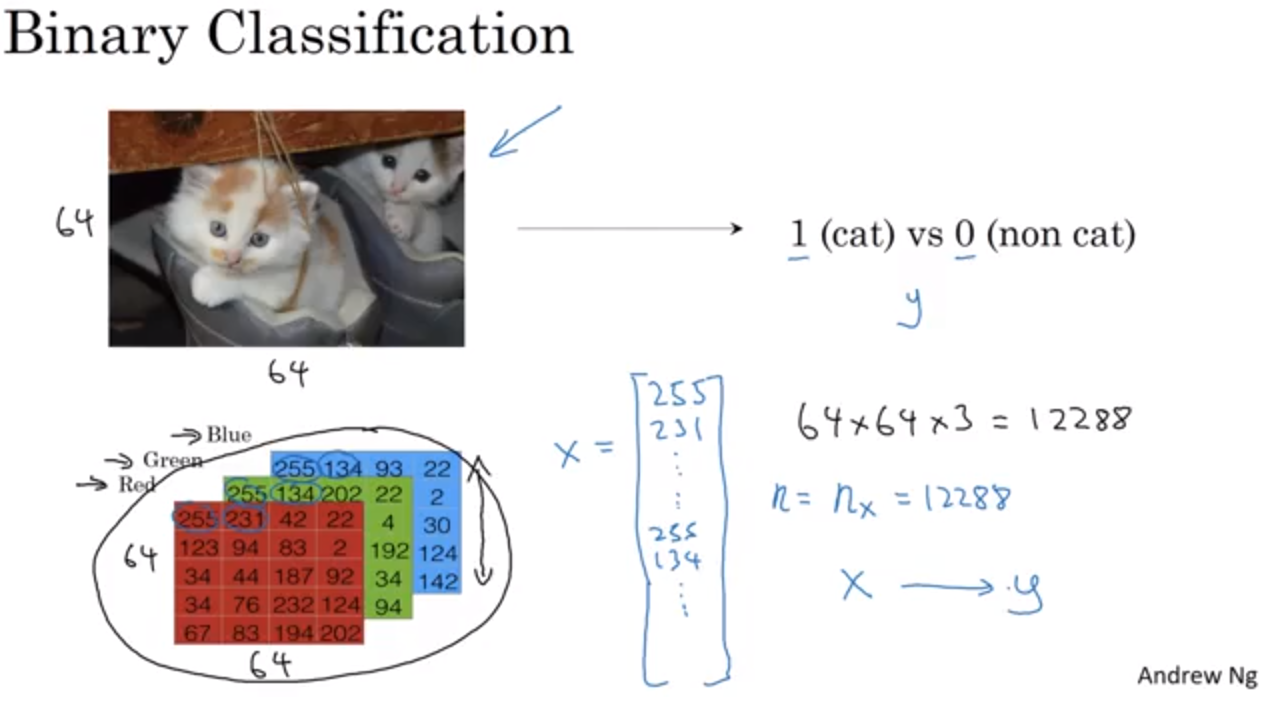 Binary classification