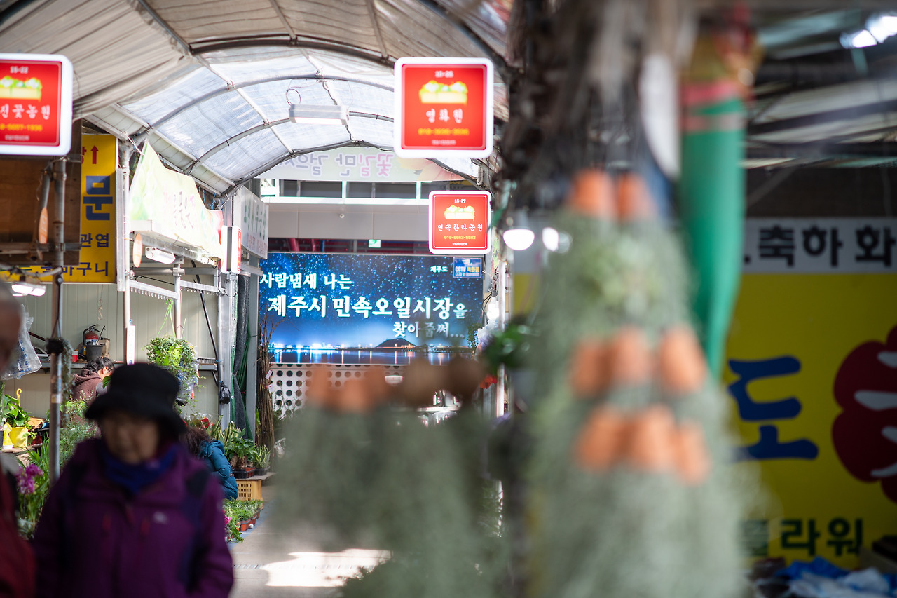 지극히 미적인 시장_25_제주시 오일장