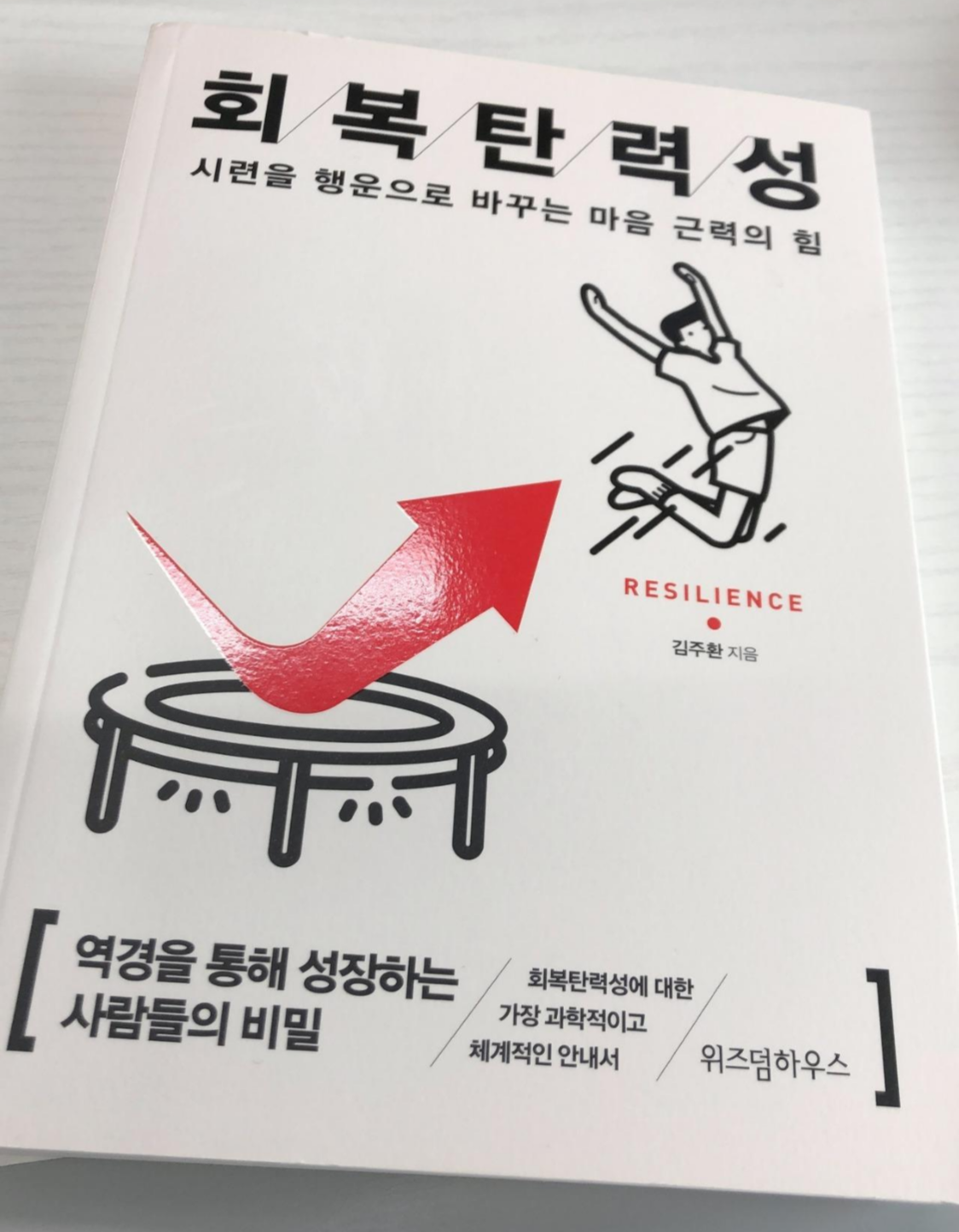 회복탄력성