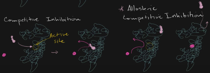 생명과학과 함께하는 학습노트 Enzyme time!