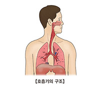 지역사회성 폐렴