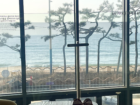 도쎄비다