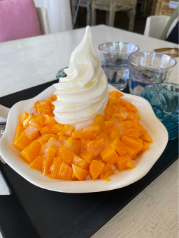 파파엔도터