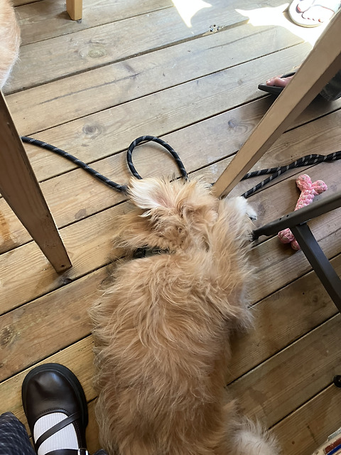 민박카페