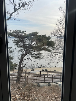 에비뉴더뷰