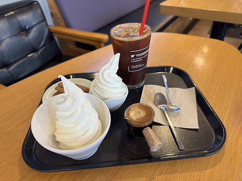 요거프레소 속초교동점