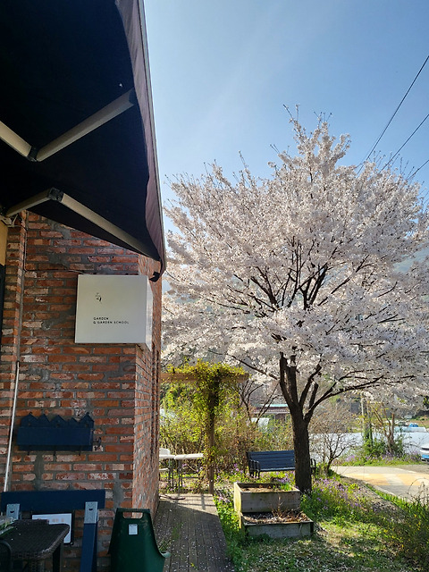 이로