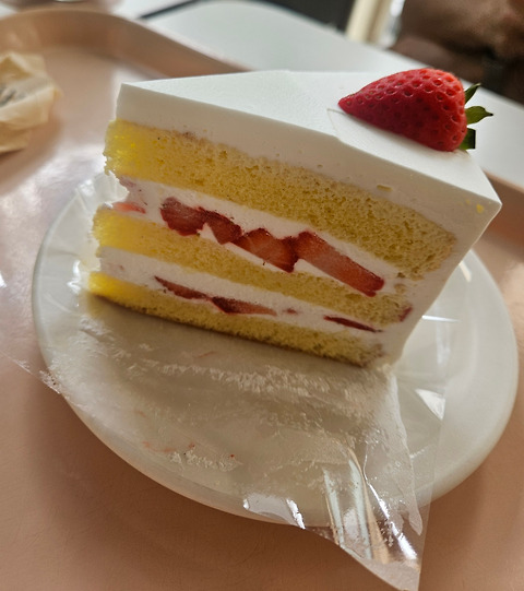 피오니 홍대점