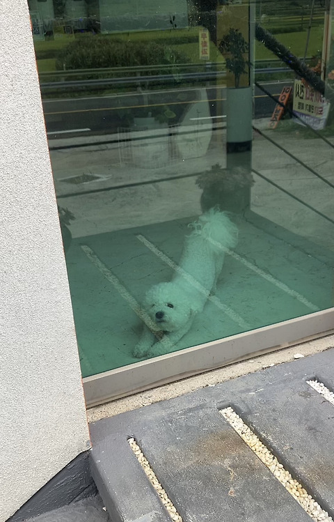 내음