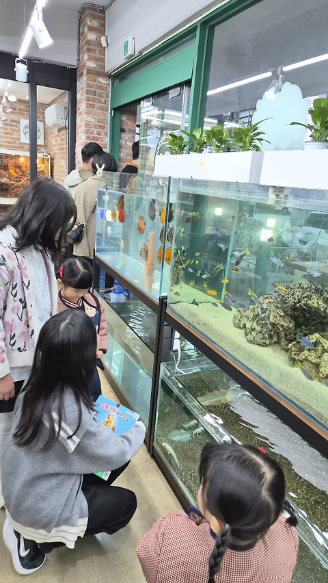 꼬마정글