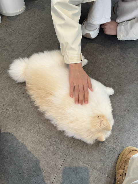 오르또커피하우스
