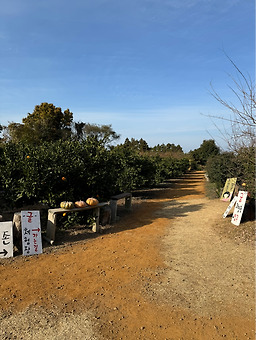 보메와산