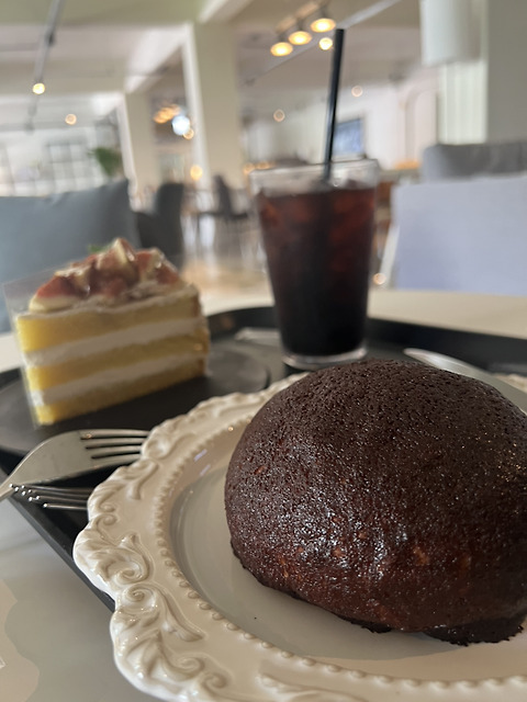 데일리아트스토리