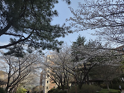 블루포트 전남대학교여수캠퍼스점