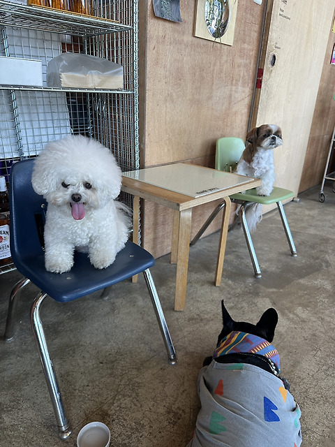 꾸꾸하우스