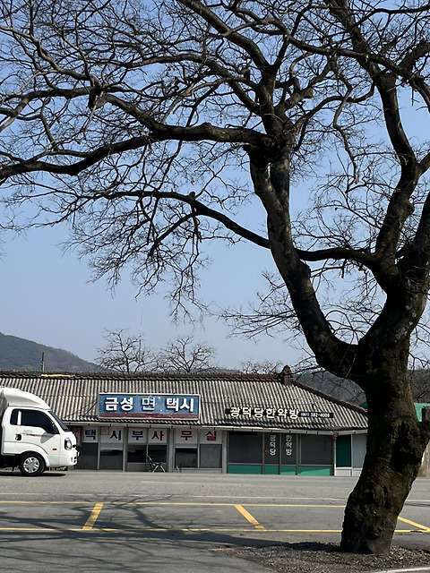 카페드존아웃