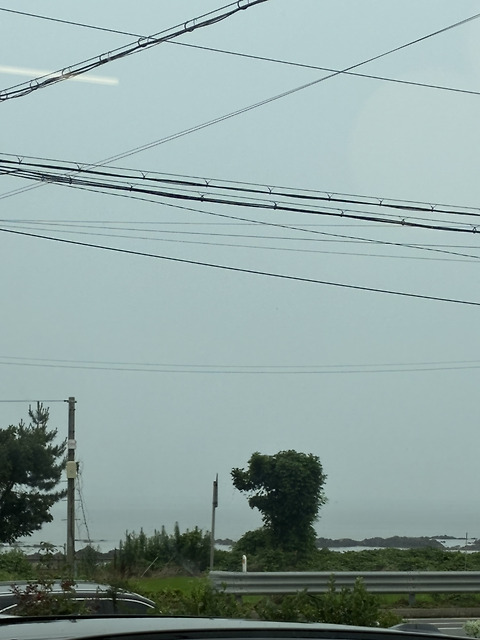 올데이투게더