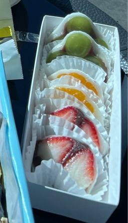 서녹씨