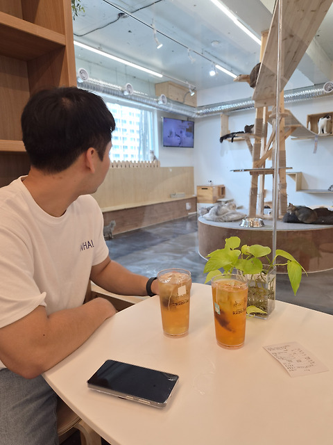 길고양이마을 성수협력점