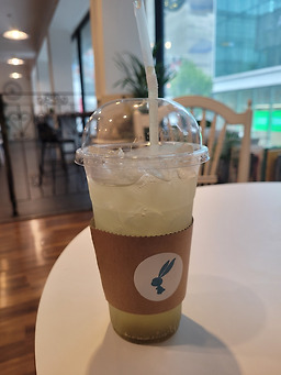 스카이래빗