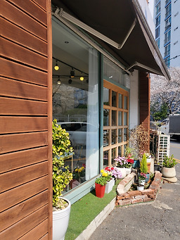 카페오드리