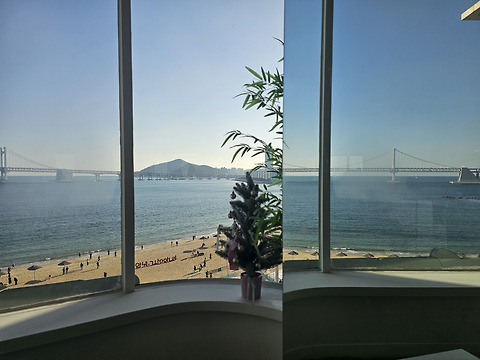 세븐테마동물 2호점