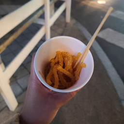 새힘