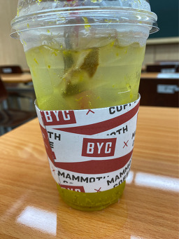 매머드익스프레스 대치점