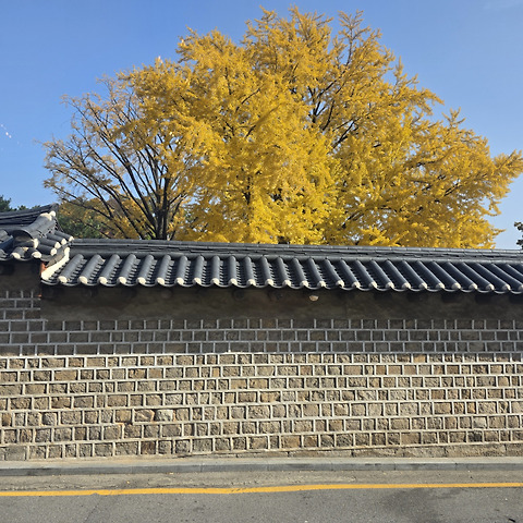 카페마고