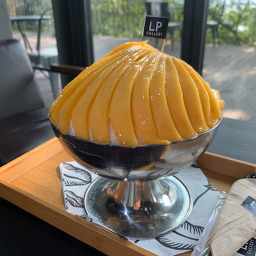 LP갤러리