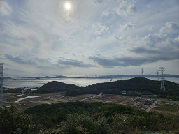 대부도안개꽃