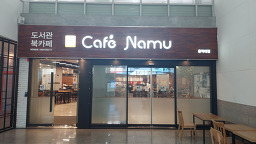카페나무