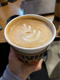 비비드빈