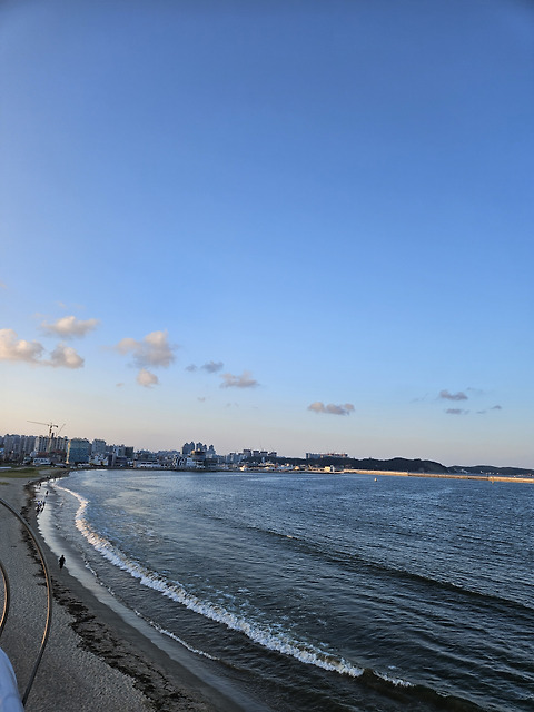 샬로우커피 포항송도점