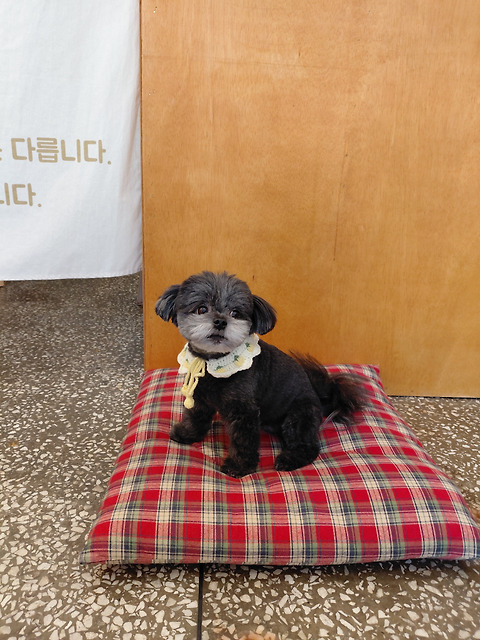 어바웃라이프