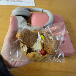 성신여자대학교 수하루