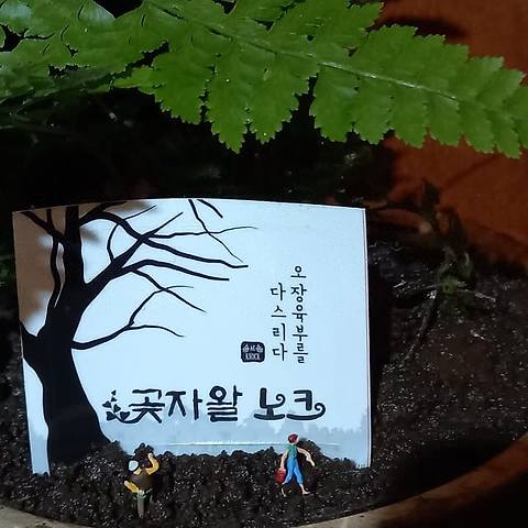 곶자왈노크