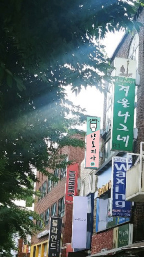 냥토피아