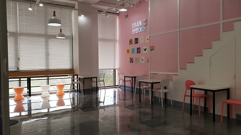 캔디독