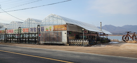 휴로드다육이카페
