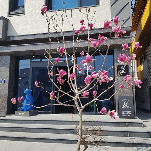 카페 케렌시아