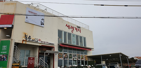 세렝게티