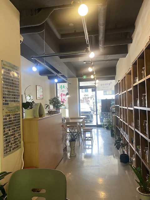 산빛약초꽃차