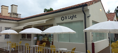 비라이트