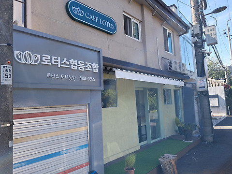 카페 로터스