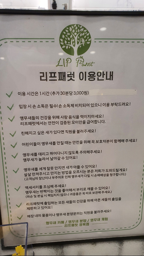 리프패럿 롯데마트 광복점