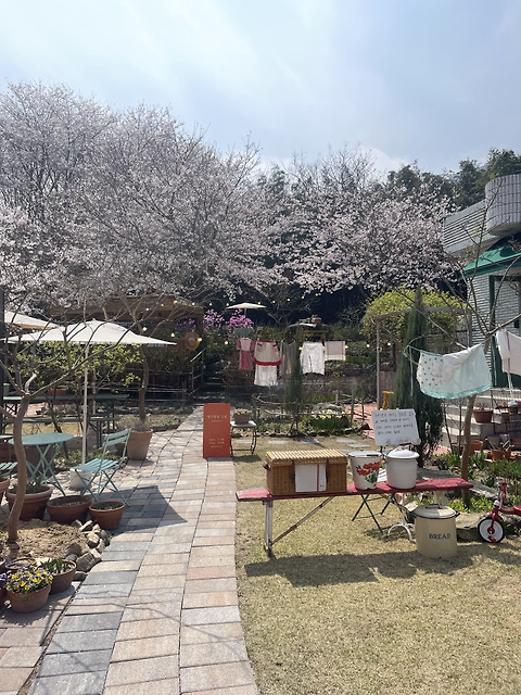 앵지밭골그집
