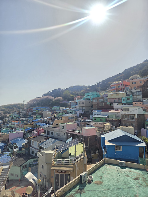 계단위푸른집