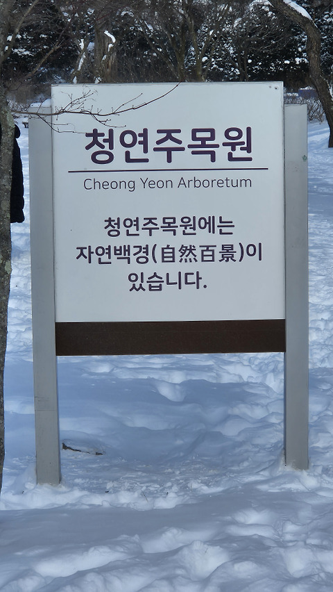 삼양라운드힐 카페