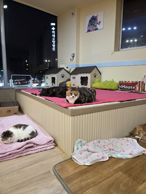 미오네